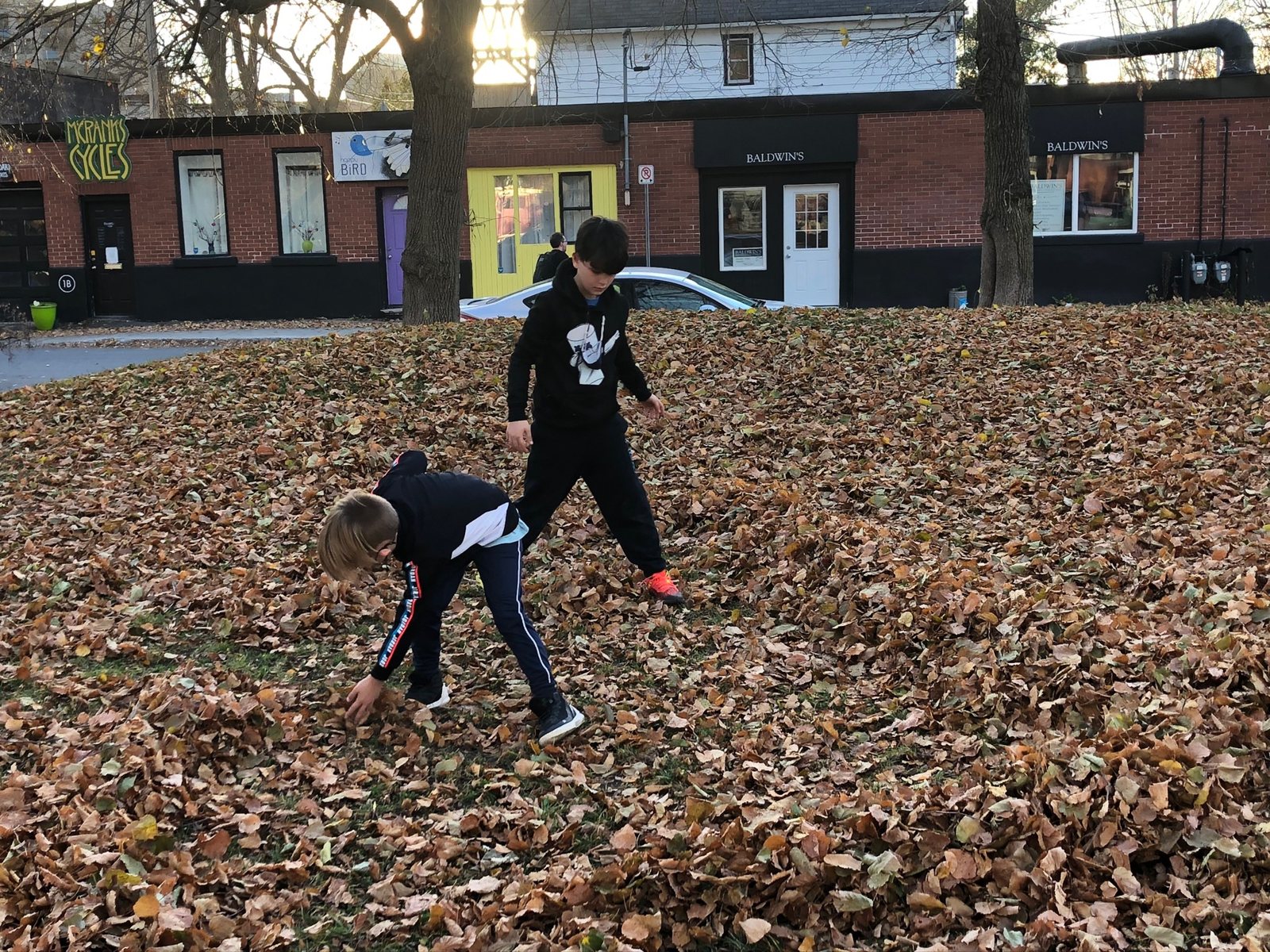 Två barn leker i ett tjockt lager av nedfallna höstlöv i en park en solig eftermiddag